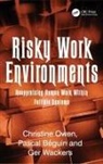 Pascal Beguin, Pascal Béguin, Christine Beguin Owen, Pascal Beguin, Pascal Béguin, Christine Owen... - Risky Work Environments