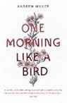 Andrew Miller - One Morning Like a Bird