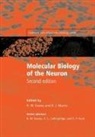 Not Available (NA), F. R. Davies, R. W. Davies, R. Wayne Davies, Davies R. W., B. J. Morris... - Molecular Biology of the Neuron