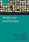 David Goldberg, David (Associate Fellow of the Programme Goldberg, David Sutter Goldberg, Prof. David Sutter Goldberg, David Goldberg, Goldberg David... - Media Law and Practice