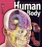 Linda Calabresi - Human Body