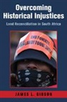 James L. Gibson - Overcoming Historical Injustices