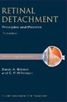 Daniel A. Brinton, Daniel A./ Wilkinson Brinton, Charles P. Wilkinson, Wilkinson Charles P. - Retinal Detachment
