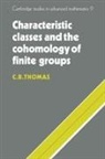 C. B. Thomas, C.B. Thomas, Charles Benedict Thomas - Characteristic Classes and the Cohomology of Finite Groups