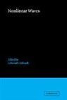 Lokenath Debnath, Lokenath Debnath - Nonlinear Waves