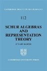 Stuart Martin - Schur Algebras and Representation Theory