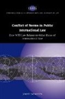 Joost Pauwelyn, Joost (Institut Universitaire De Hautes Pauwelyn - Conflict of Norms in Public International Law