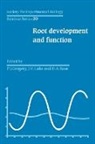 J. V. Lake, J. V. Gregory Lake, P. J. Gregory, J. V. Lake, D. A. Rose - Sebs 30 Root Development and Function