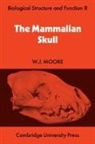 W. J. Moore, W.j. Moore - THE Mammalian Skull