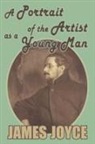 James Joyce - A Portrait of the Artist As a Young Man