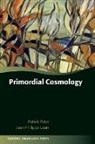 Patrick Peter, Patrick (Institut d'Astrophysique de Paris) Peter, Patrick/ Uzan Peter, Peter Patrick, Jean-Philippe Uzan, Jean-Philippe (Institut d'Astrophysique de Paris) Uzan... - Primordial Cosmology