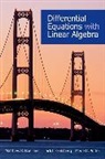 Matthew R Boelkins, Matthew R. Boelkins, Matthew R./ Goldberg Boelkins, Jack L Goldberg, Jack L. Goldberg, Merle Potter... - Differential Equations With Linear Algebra