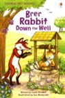 Louie Stowell, Eva Muszynski - Brer Rabbit Down the Well