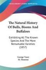 George Vasey - The Natural History of Bulls, Bisons and