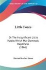 Harriet Beech Stowe, Harriet Beecher Stowe - Little Foxes: Or the Insignificant Littl