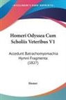 Homer - Homeri Odyssea Cum Scholiis Veteribus V1