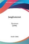 Emilie Carlen - Jungfrutornet: Sjoroman (1848)