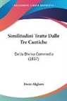 Dante Alighieri - Similitudini Tratte Dalle Tre Cantiche:
