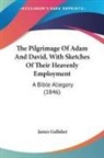 James Gallaher - The Pilgrimage of Adam and David, With S