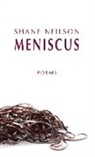 Shane Neilson, Shane Nelson - Meniscus
