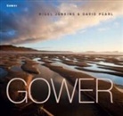 Nigel Jenkins, David Pearl - Gower