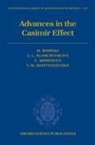 Michael Bordag, Michael/ Klimchitskaya Bordag, Bordag Michael, Galina Leonidovna Klimchitskaya, Klimchitskaya Galina Leonidovna, Umar Mohideen... - Advances in the Casimir Effect