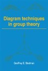 Geoffrey E. Stedman, Stedman Geoffrey E. - Diagram Techniques in Group Theory