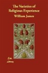 William James - The Varieties of Religious Experience