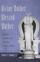 Francis Clooney, Francis X. Clooney, Francis Xavier Clooney, Clooney Francis X. - Divine Mother, Blessed Mother