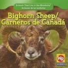 Joann Early Macken - Bighorn Sheep/ Carnero De Canada