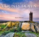 Simon Brown - Portrait of County Down