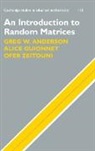 Greg W. Anderson, Greg W. (University of Minnesota) Anderson, Greg W. Guionnet Anderson, Alice Guionnet, Alice (Ecole Normale Superieure Guionnet, Ofer Zeitouni... - Introduction to Random Matrices