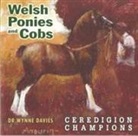 Wynne Davies - Welsh Ponies and Cobs - Ceredigion Champions
