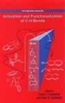 Karen I. Goldberg, Karen I. (EDT)/ Goldman Goldberg, Karen I. Goldberg, Goldberg Karen I., Alan Goldman, Alan S. Goldman - Activation and Functionalization of C-H Bonds