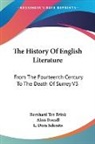 Bernhard Ten Brink, Alois Brandl - The History of English Literature: From the Fourteenth Century to the