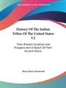 Henry Rowe Schoolcraft - History of the Indian Tribes of the United States V2: Their Present
