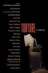 Sanford Levinson, Sanford Levinson - Torture