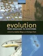 Andres Moya, Andres Font Moya, Enrique Font, Font Enrique, Andres Moya, Andrés Moya... - Evolution