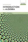 Peter J. Cameron, Peter J. (Professor of Mathematics Cameron, Cameron Peter J. - Introduction to Algebra