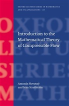 Novotn´y, A. Novotny, Antonin Novotny, Antonín Novotny, Antonin Straskraba Novotny, Anton'in Novotn'y... - Introduction to the Mathematical Theory of Compressible Flow