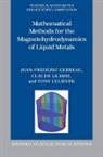 Jean-Frederic Gerbeau, Jean-Fr'ed'eric Gerbeau, Jean-Frédéric Gerbeau, Jean-Frederic Le Bris Gerbeau, Claude Le Bris, Le Bris Claude... - Mathematical Methods for the Magnetohydrodynamics of Liquid Metals