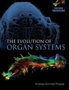 Andreas Schmidt-Rhaesa, Andreas (Zoological Museum Schmidt-Rhaesa, Schmidt-Rhaesa Andreas - Evolution of Organ Systems
