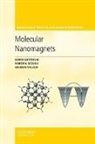 Dante Gatteschi, Dante (University of Florence) Sessoli Gatteschi, Dante Sessoli Gatteschi, Roberta Sessoli, Jacques Villain - Molecular Nanomagnets
