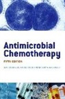 Peter Davey, Roger Finch, David Greenwood, David Finch Greenwood - Antimicrobial Chemotherapy