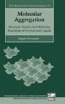 Angelo Gavezzotti, Angelo (Professor of Physical Chemistr Gavezzotti - Molecular Aggregation