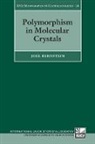 Joel Bernstein, Joel (Department of Chemistry Bernstein - Polymorphism in Molecular Crystals