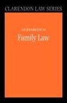 Gillian Douglas, Gillian (Professor of Law and Head of Car Douglas - Introduction to Family Law