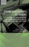 Ashish Arora, Ashish (Associate Professor of Economics an Arora, Ashish Gambardella Arora, Ashish Arora, Ashish (Associate Professor of Economics and Public Policy Arora, Arora Ashish... - From Underdogs to Tigers