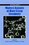 Michael Lattman, Michael (Professor of Chemistry Lattman, Michael Kemp Lattman, Richard A. Kemp, Michael Lattman - Modern Aspects of Main Group Chemistry