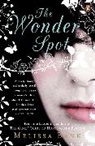 Melissa Bank - The Wonder Spot